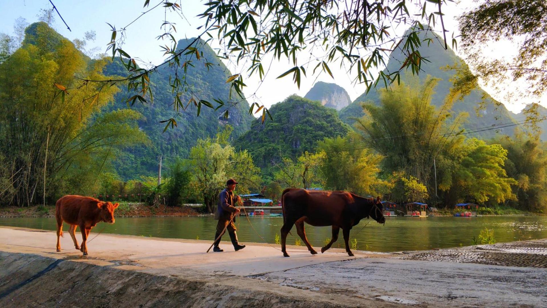 Moondance Boutique Resort Yangshuo Eksteriør bilde