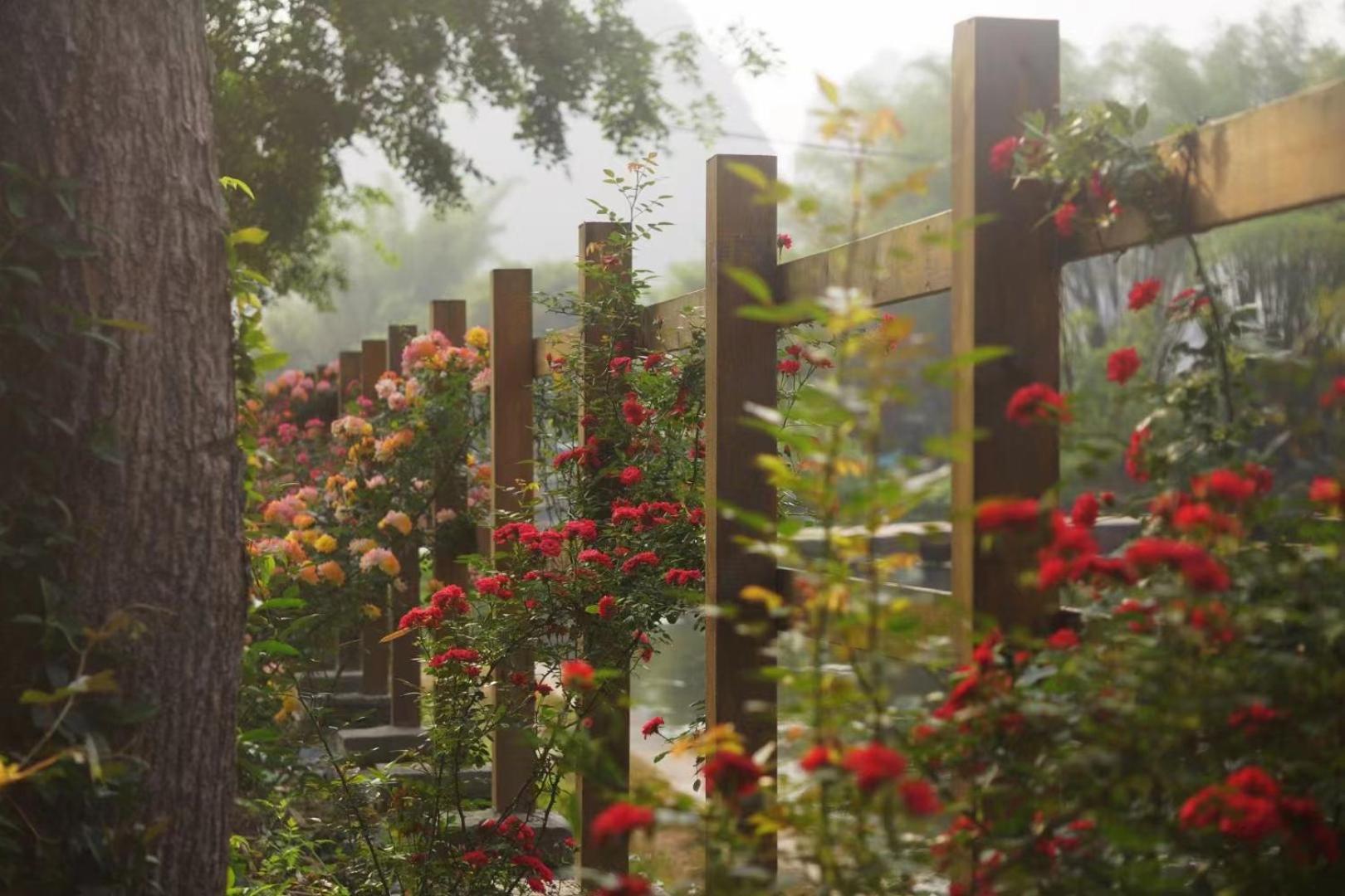 Moondance Boutique Resort Yangshuo Eksteriør bilde